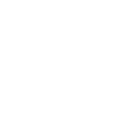 VESTIMENTA